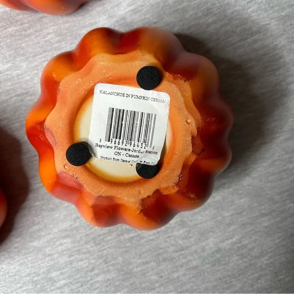 Target Orange 4” Round Pumpkin Ceramic Planter Pot 6 PCS. Set
